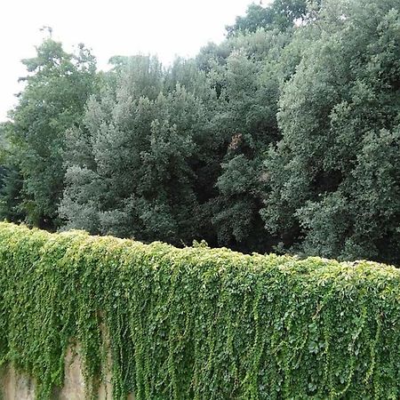 Un'Angolo Incantato Daire Floransa Dış mekan fotoğraf